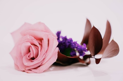 صورة رأس OnlyFans bridgettedances