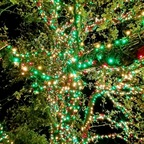 Immagine del profilo OnlyFans di brokengrl