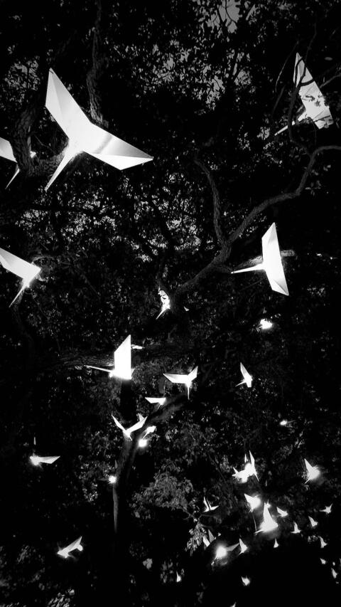 صورة رأس OnlyFans bunnybutt17