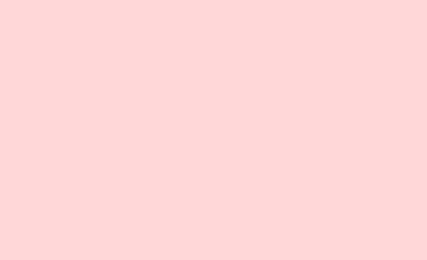 OnlyFans üst resmi bunnywifey