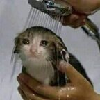 OnlyFansのプロフィール写真buttholeblunder