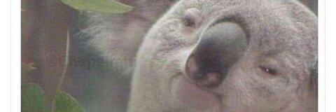 OnlyFans üst resmi camilapereyra