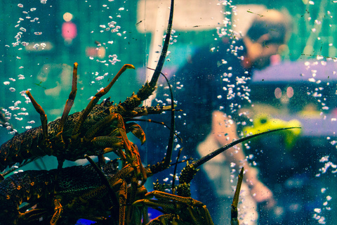 OnlyFans 헤더 사진 cannibalismvarietyhour