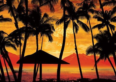 OnlyFansヘッダー写真 carolina.lassnibatt