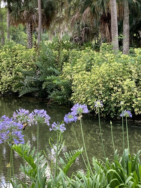 Imagen de encabezado de OnlyFans de carolyn_kes