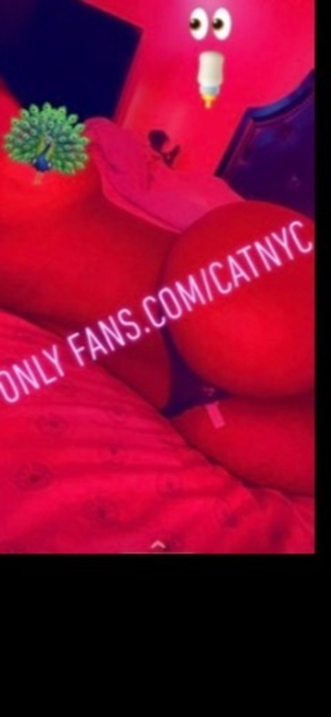 Image d'en-tête OnlyFans catnyc