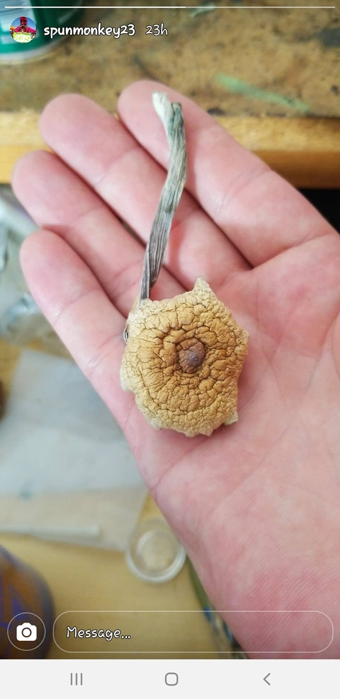 OnlyFansヘッダー写真 cavediddy23