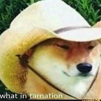 Photo de profil OnlyFans de cheekbeater