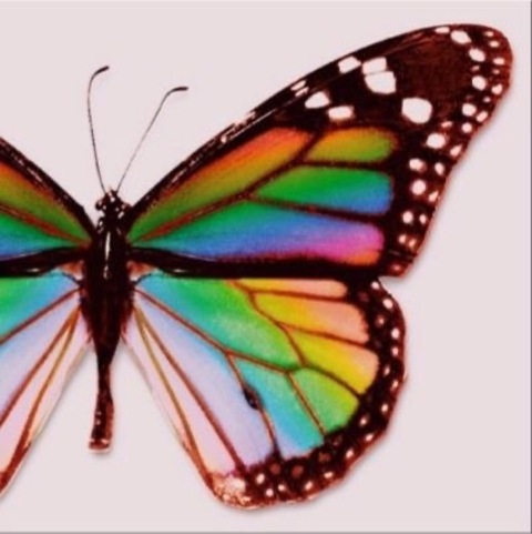 Imagen de encabezado de OnlyFans de chocolatehighh__