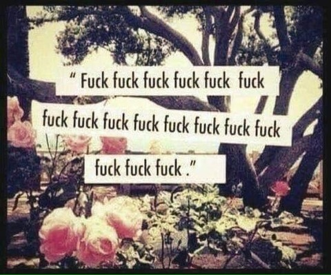 Снимка на заглавие на OnlyFans chubbybbykitty