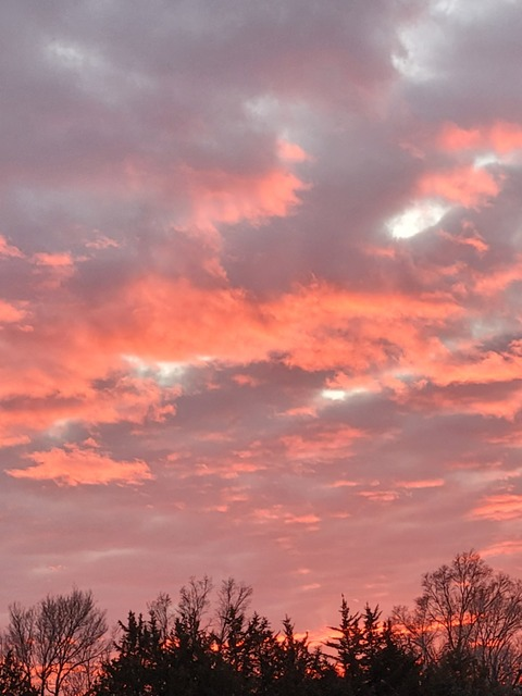 Immagine di copertina OnlyFans chunkyxavocado