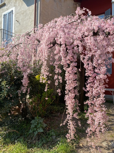 Gambar header OnlyFans claudieeetta