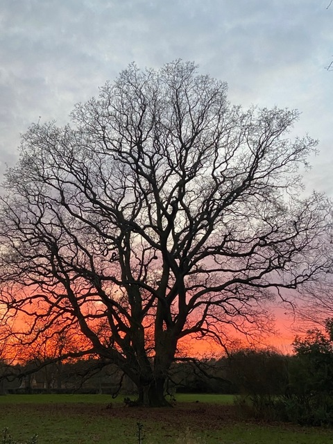 Gambar header OnlyFans codyblackx