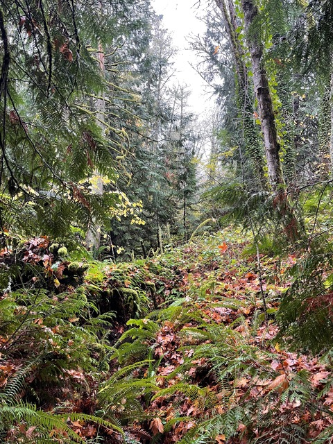 Obraz nagłówka OnlyFans collegebro4you