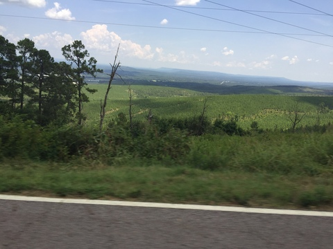 OnlyFans 헤더 사진 crimsonrose