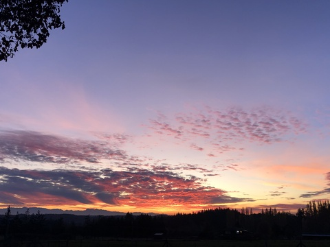 OnlyFans üst resmi cryitssimba