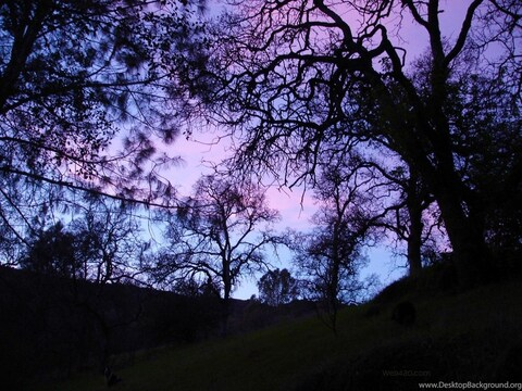 Изображение шапки OnlyFans cutelilkitten