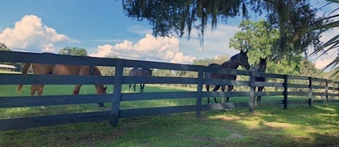 Image d'en-tête OnlyFans dadisbig