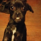 Foto profil OnlyFans dallas