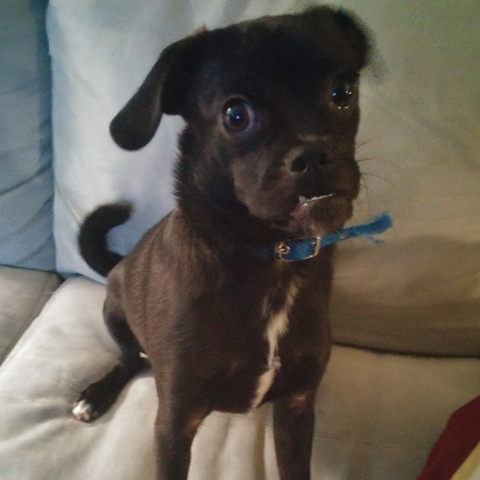 OnlyFans हेडर तस्वीर dallas