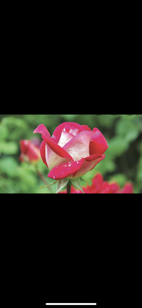 صورة رأس OnlyFans damnnssandy_