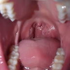 صورة الملف الشخصي على OnlyFans dana.the.lady.vore