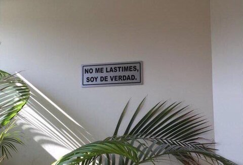 صورة رأس OnlyFans dante-alighieri