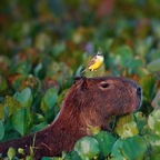 Профилна снимка в OnlyFans за datbitchbarbie