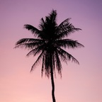 Profilbild von OnlyFans dawny.love.0