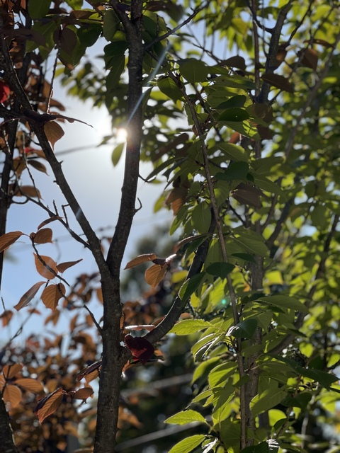 Снимка на заглавие на OnlyFans deathstrokedaddy