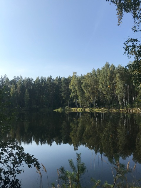 OnlyFans हेडर तस्वीर demerrara