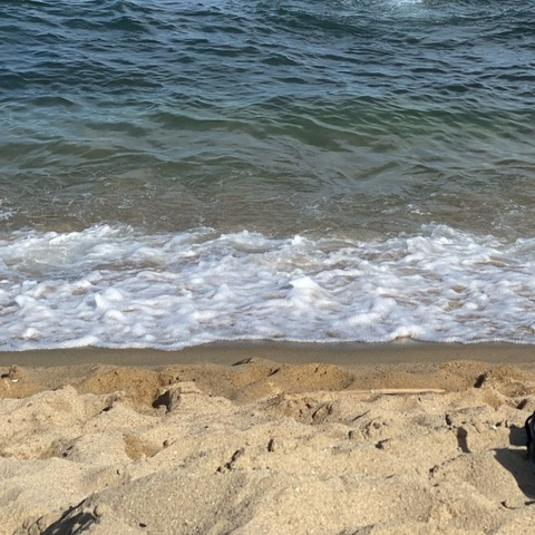 Gambar header OnlyFans domhairy