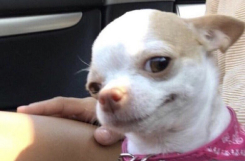 OnlyFans kopafbeelding dreezydreaa