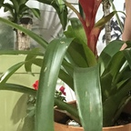 AlleenFans profielfoto ds6789