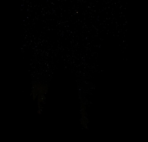 OnlyFans kopafbeelding ds6789