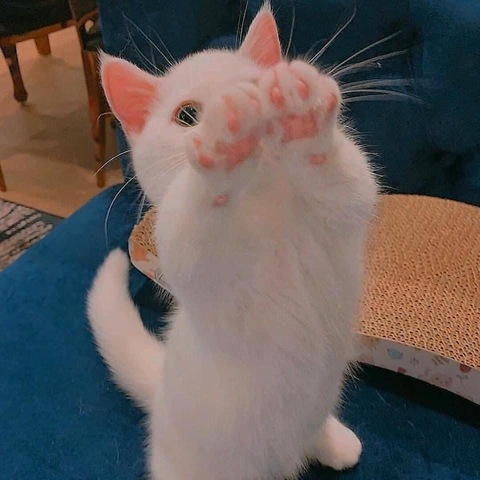 Снимка на заглавие на OnlyFans duang03jai