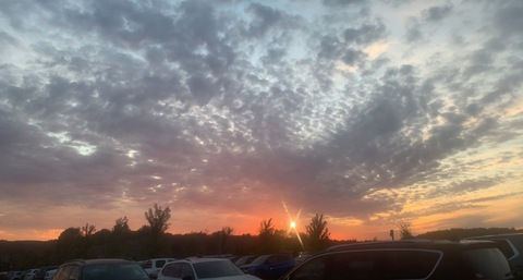 OnlyFans header picture dustycantfly