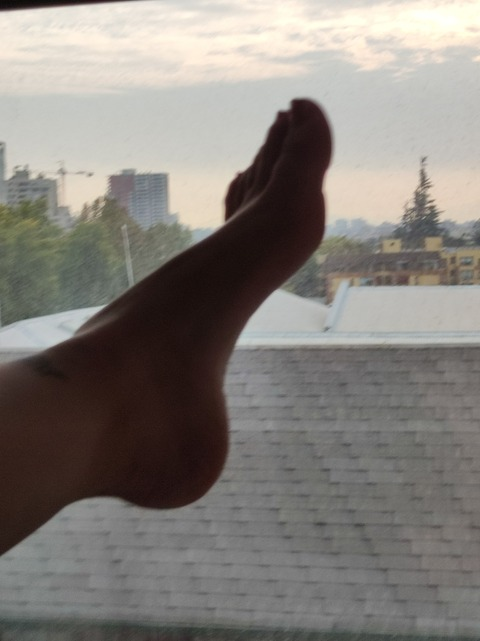 Imagem de cabeçalho do OnlyFans egyalvip