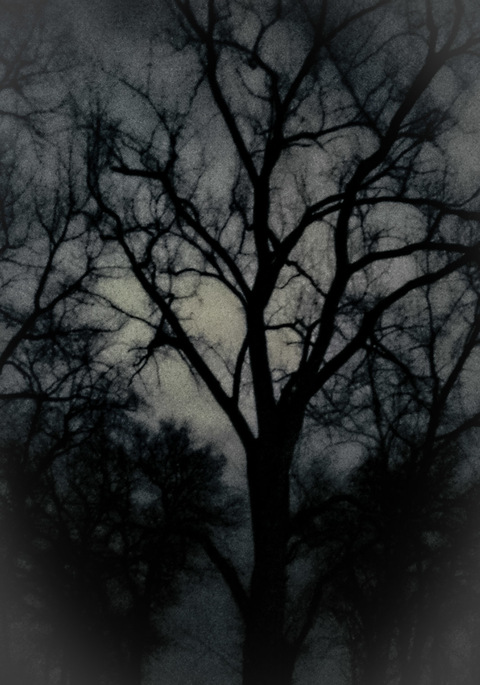 OnlyFans हेडर तस्वीर eldiresstreet