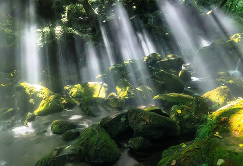 Image d'en-tête OnlyFans electradommex