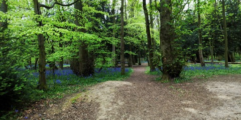 Imagem de cabeçalho do OnlyFans emily-nightt