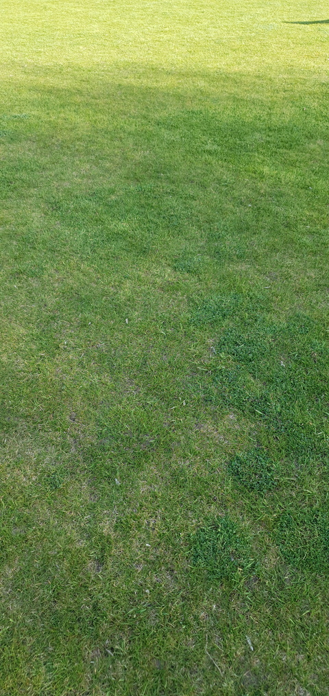 صورة رأس OnlyFans energy1721