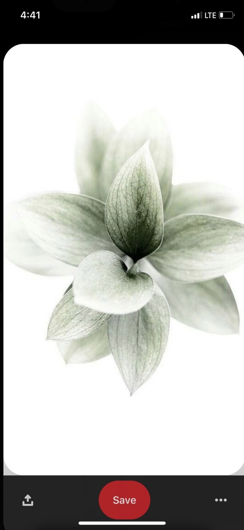 OnlyFansヘッダー写真 epaella