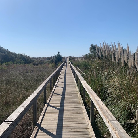 Imagen de encabezado de OnlyFans de epdtravels