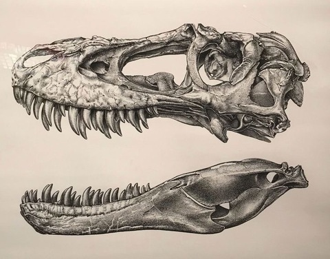 OnlyFans हेडर तस्वीर erdglez