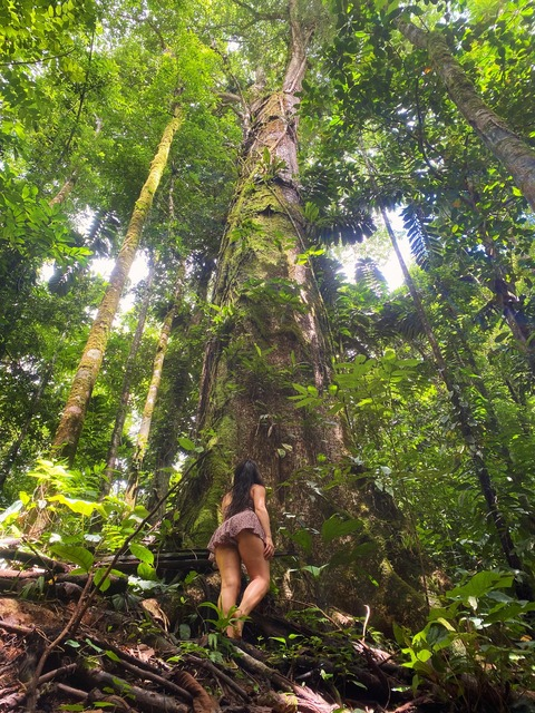 Gambar header OnlyFans erinashford