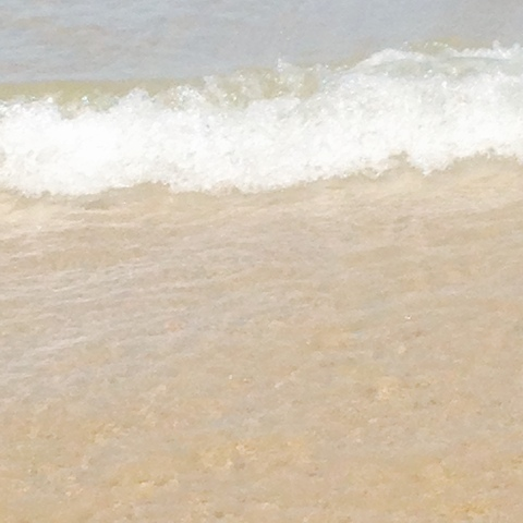 OnlyFansヘッダー写真 erotica_1