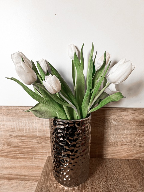 OnlyFansヘッダー写真 eveliinngy