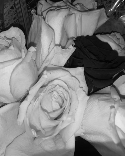 OnlyFans हेडर तस्वीर ezzyleetv