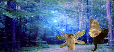 Image d'en-tête OnlyFans fauxfae